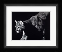 Prowler Fine Art Print