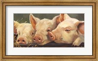 Pig Heaven Fine Art Print