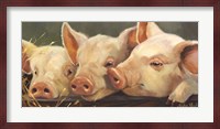 Pig Heaven Fine Art Print