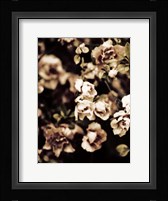 Romantic Roses I Fine Art Print