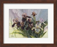 Hadfield Irises IV Fine Art Print