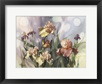 Hadfield Irises V Fine Art Print