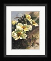 Hadfield Roses I Fine Art Print