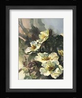 Hadfield Roses II Fine Art Print