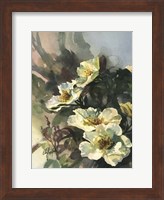 Hadfield Roses II Fine Art Print