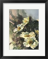 Hadfield Roses II Fine Art Print