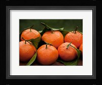 Satsuma Tangerines I Fine Art Print
