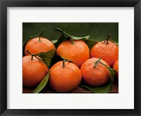 Satsuma Tangerines I Fine Art Print