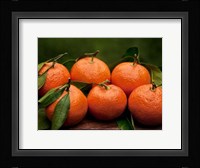Satsuma Tangerines II Fine Art Print