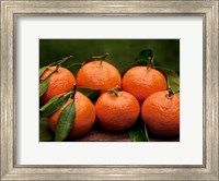 Satsuma Tangerines II Fine Art Print