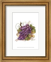 Watercolor Grapes I Fine Art Print
