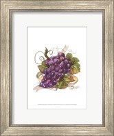 Watercolor Grapes I Fine Art Print