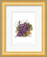 Watercolor Grapes I Fine Art Print