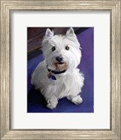 West Highland Terrier Fine Art Print