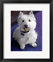 West Highland Terrier Fine Art Print