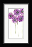 Pinwheels I Fine Art Print