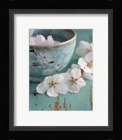 Fleurs de cerisiers Fine Art Print