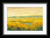 Hot Summer Day II Framed Print