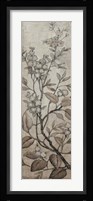 Branch & Blossoms I Framed Print