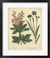 Garden Flora VII Fine Art Print