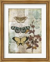 Music Box Butterflies I Fine Art Print