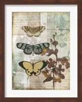 Music Box Butterflies I Fine Art Print