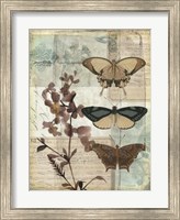 Music Box Butterflies II Fine Art Print
