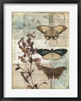 Music Box Butterflies II Fine Art Print