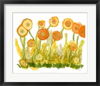 Sunlit Poppies II Fine Art Print
