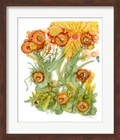 Sunlit Poppies III Fine Art Print