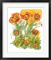 Sunlit Poppies III Fine Art Print