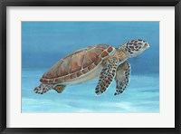 Ocean Sea Turtle I Fine Art Print