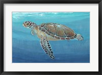 Ocean Sea Turtle II Fine Art Print