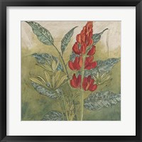 Crimson Tropical II Fine Art Print