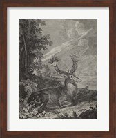 Woodland Deer III Fine Art Print