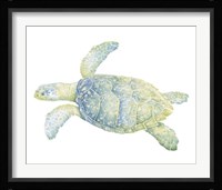 Tranquil Sea Turtle II Fine Art Print
