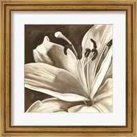 Sepia Lily I Fine Art Print