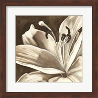 Sepia Lily I Fine Art Print