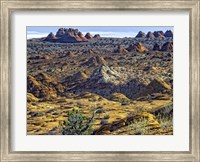View from Coyote Buttes Fine Art Print