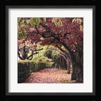 Arch of Trees Fine Art Print