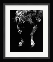 Hangin' Four Fine Art Print