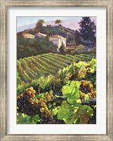 Siena Harvest Fine Art Print