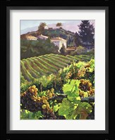 Siena Harvest Fine Art Print