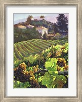 Siena Harvest Fine Art Print