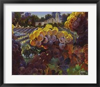 Fall Preview Framed Print