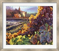 Tuscany Harvest Fine Art Print