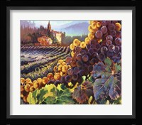 Tuscany Harvest Fine Art Print