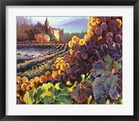 Tuscany Harvest Fine Art Print