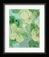 Mint Progeny IV Fine Art Print