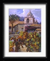 Vineyard at San Miguel Framed Print